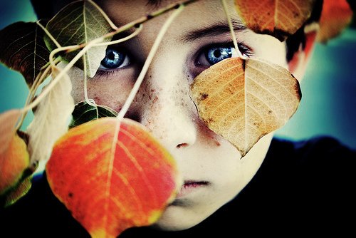 An-Intellectual-Dream-photography-1622499-500-334.jpg, 107 KB
