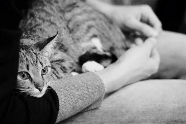 love5.jpg, 117 KB