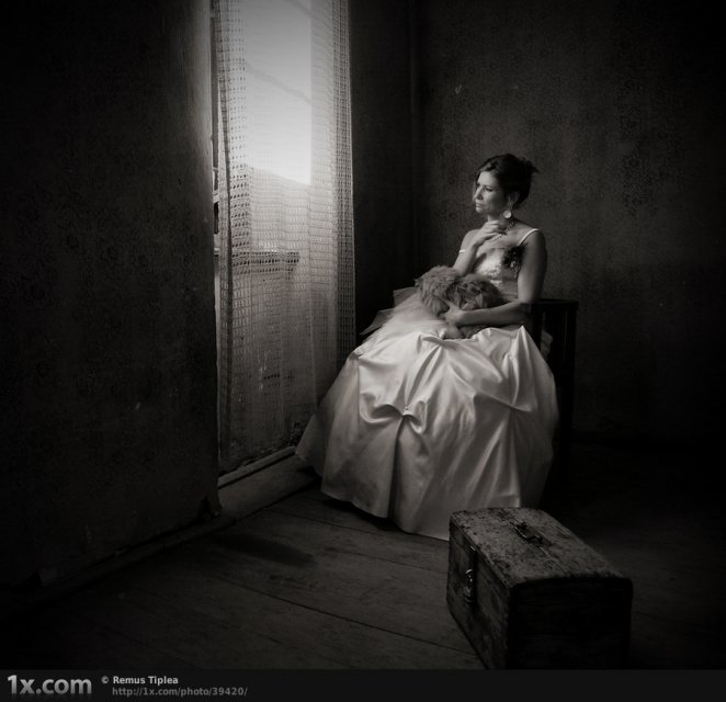 waiting for...Remus Tiplea.jpg, 652 KB